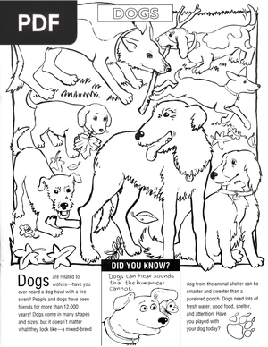 Animal Coloring Sheets