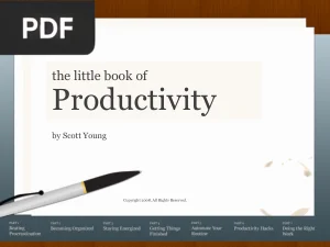 The Little Book of Productivity